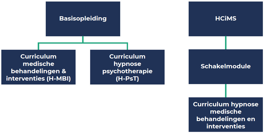 VHYP curricula